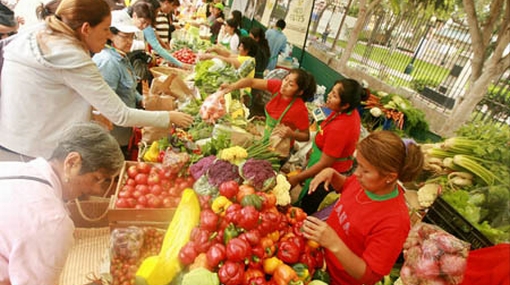 comidaorganica